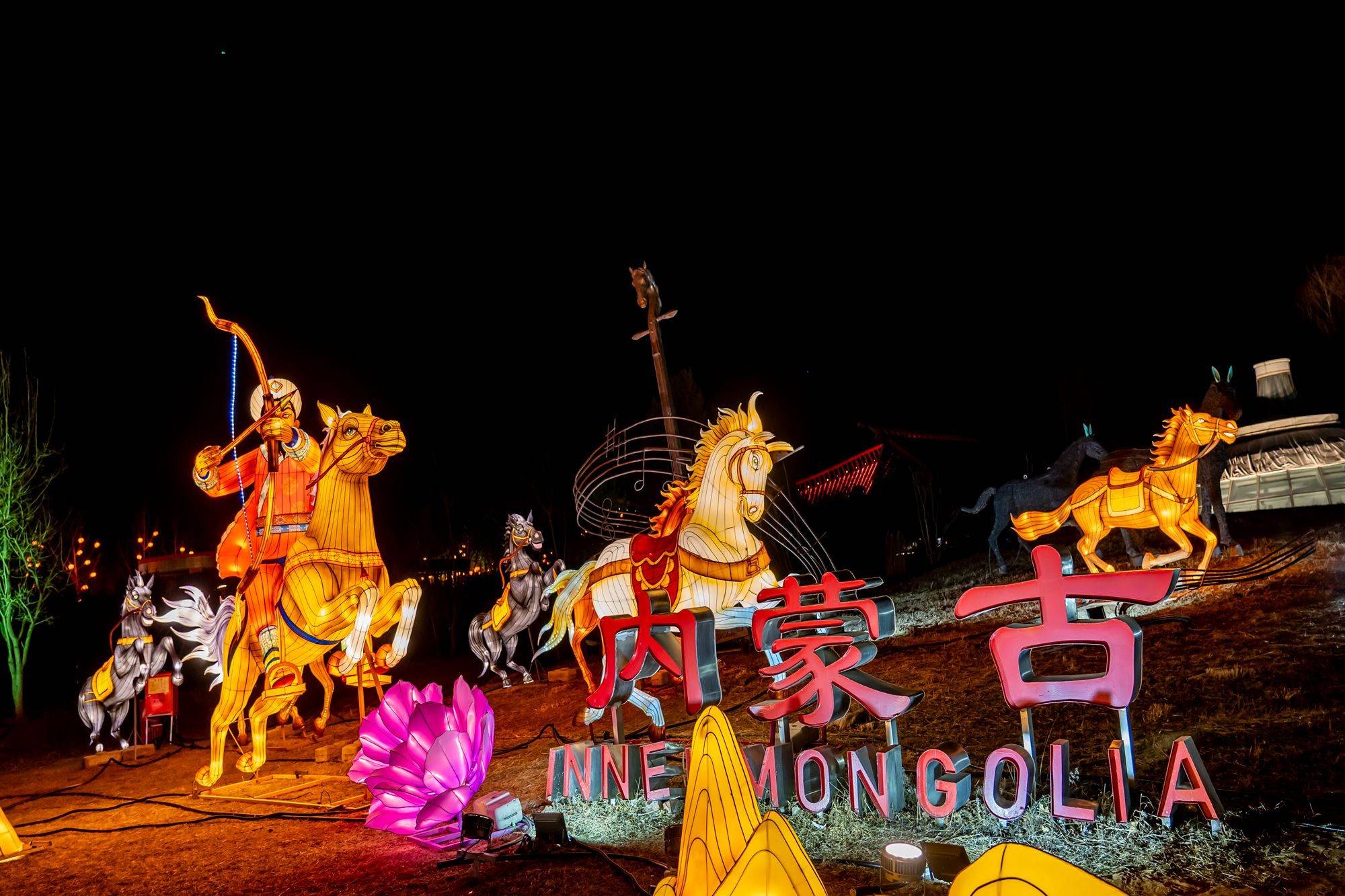 北京世园花灯艺术节赏花灯过大年传统与科技交织充满浪漫(图10)