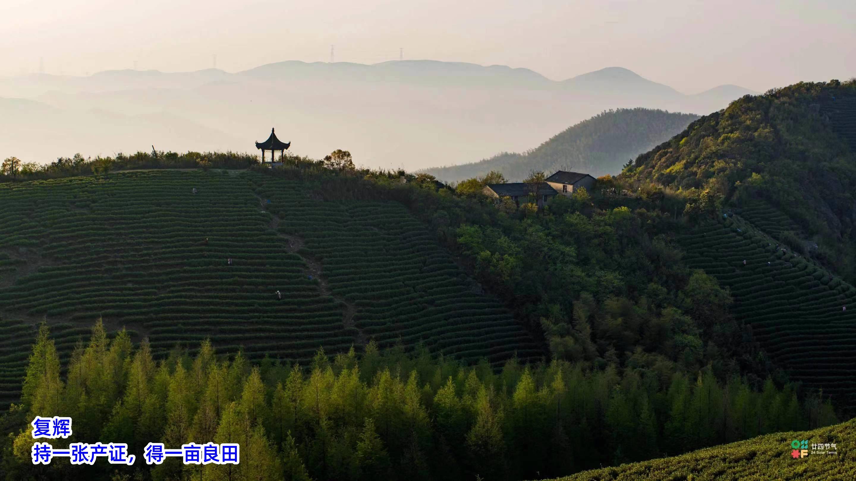 泛亚电竞官网复辉：茶叶电商与新零售模式的崛起(图3)