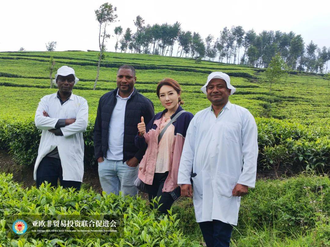 亚欧非贸促会一行访问非洲最大茶园深化茶叶技术交流(图1)
