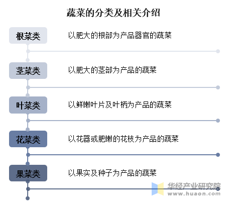 2025年中国蔬菜行业分类华体会官网情况相关政策及上游分析(图1)