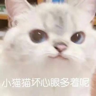 小火箭 添加规则