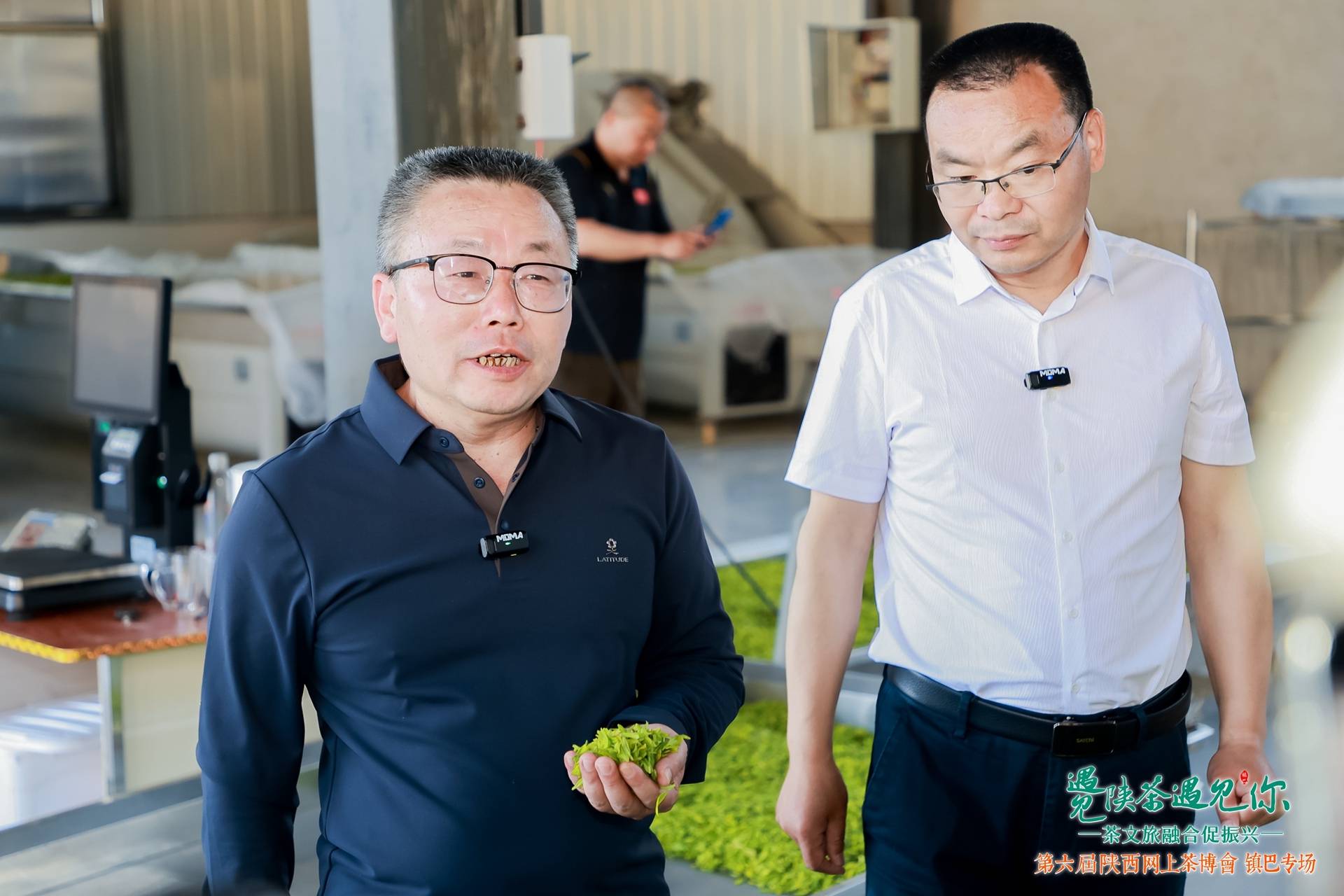 第六届陕西网上茶博会镇巴专场活动启动 探访团深欧博体育官网入茶企共探陕茶发展新篇(图7)