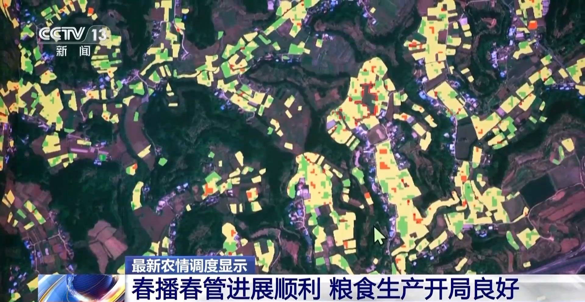 全国粮食生产开局良好 冬小麦将迎来大面积收获(图3)