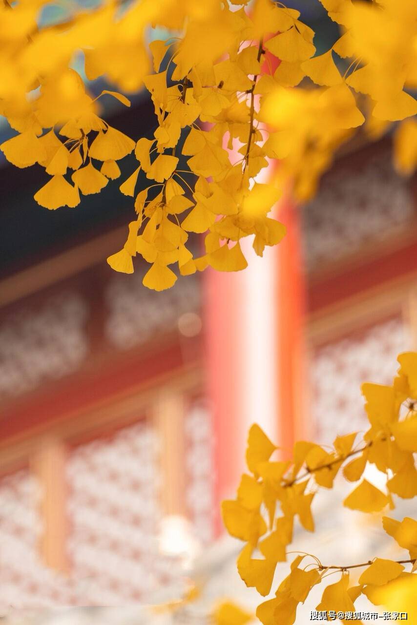Binance Casino - 领先的数字货币娱乐场，安全稳定，极速存取北京5天自由行消费多少钱北京5日游带1000够吗旅游必看攻略