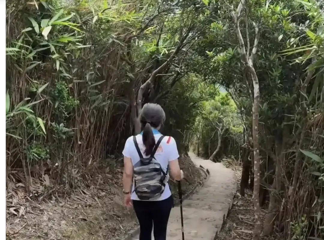 原创郭晶晶素颜爬山惊艳亮相，体力惊人霍启刚气喘吁吁，带娃登山引关注