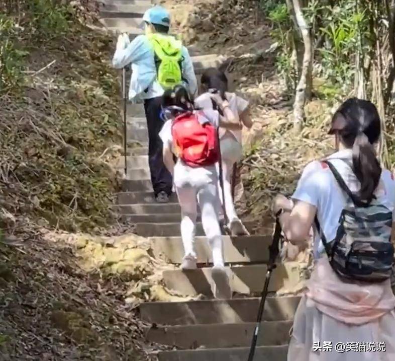 原创郭晶晶晒踏青视频，霍中曦带妹爬山，霍启刚队尾守护暖心时刻