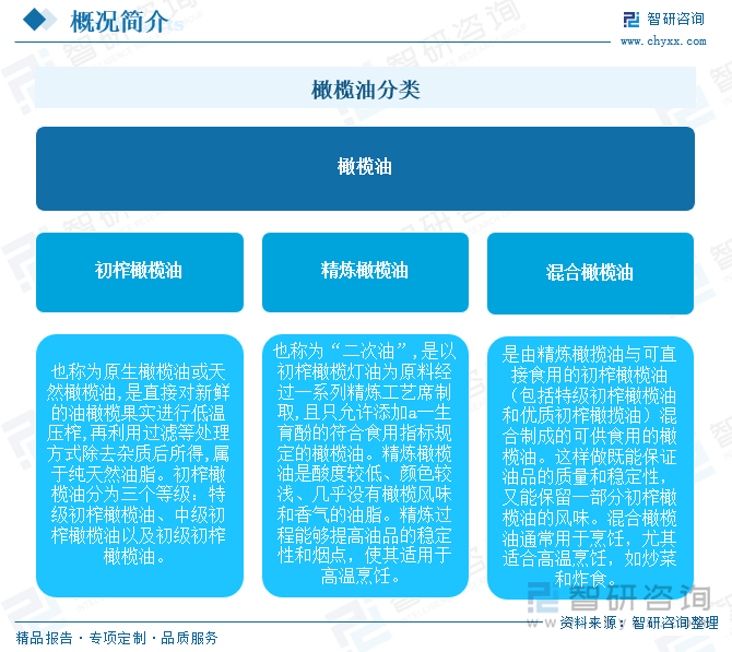 一文了解2025年中国橄榄业发展现状及未来前景趋势预测（智研