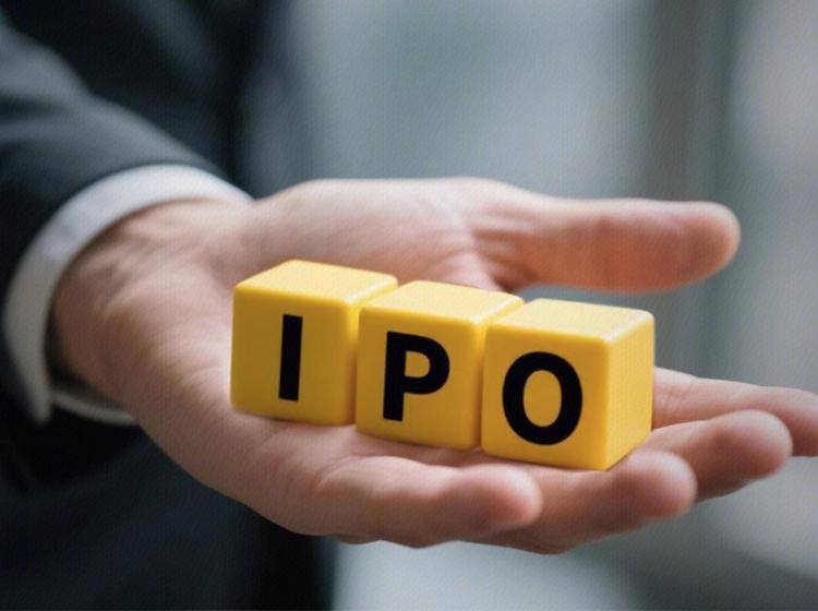 千亿市值豪威集团冲刺IPO，“中国芯片首富”虞仁荣再下一城