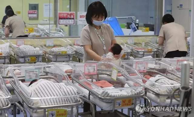 一边是幼儿园关闭潮，一边是人口出生反弹，该信谁？