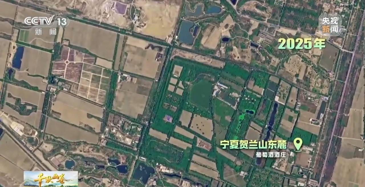 “两山”理念提出二十周年：绿水青山千秋画 万里江山共此卷