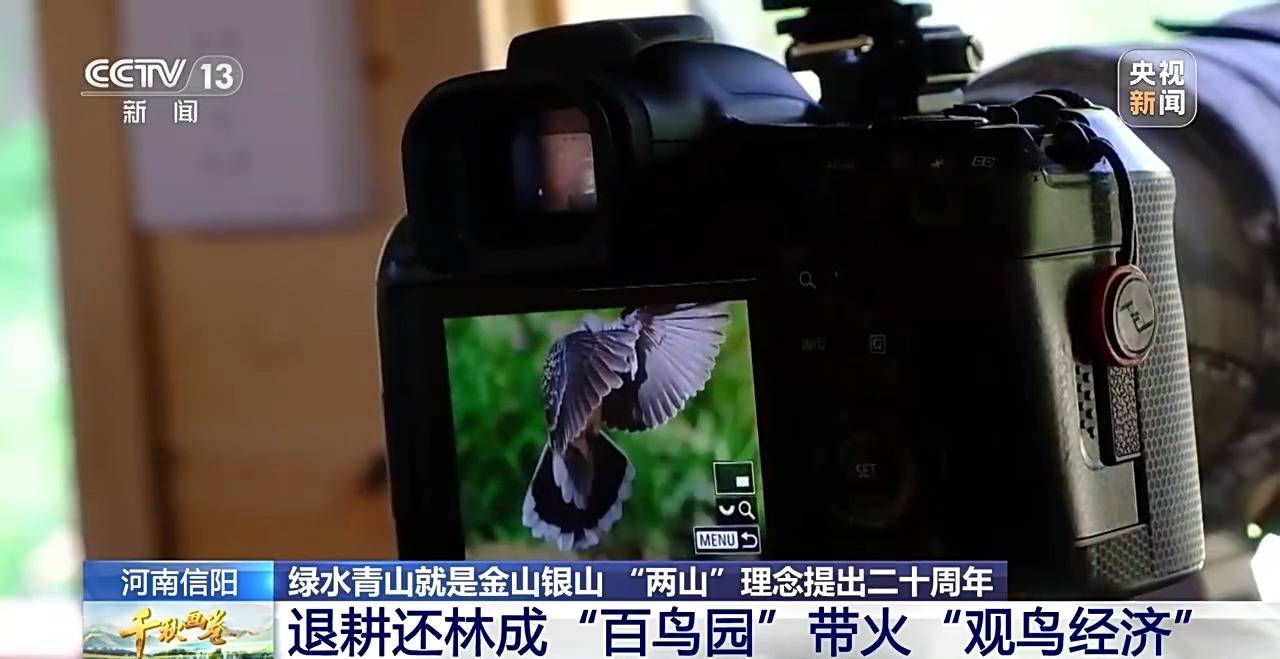 “两山”理念提出二十周年：绿水青山千秋画 万里江山共此卷