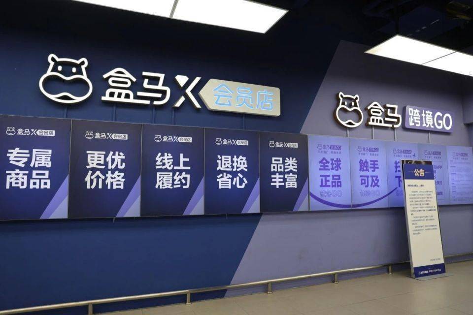 马云站台张勇孵化的盒马，为何会员店全军覆没？