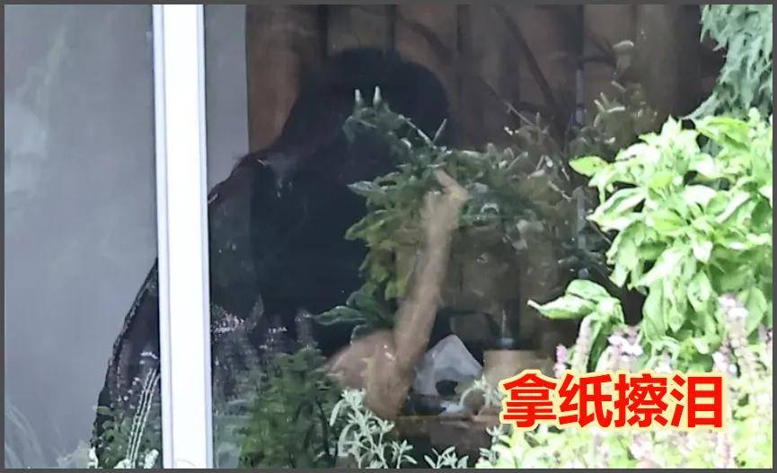 大S雕像迟迟没落成，言承旭只能到墓园祭拜，当场落泪吃饭都在哭