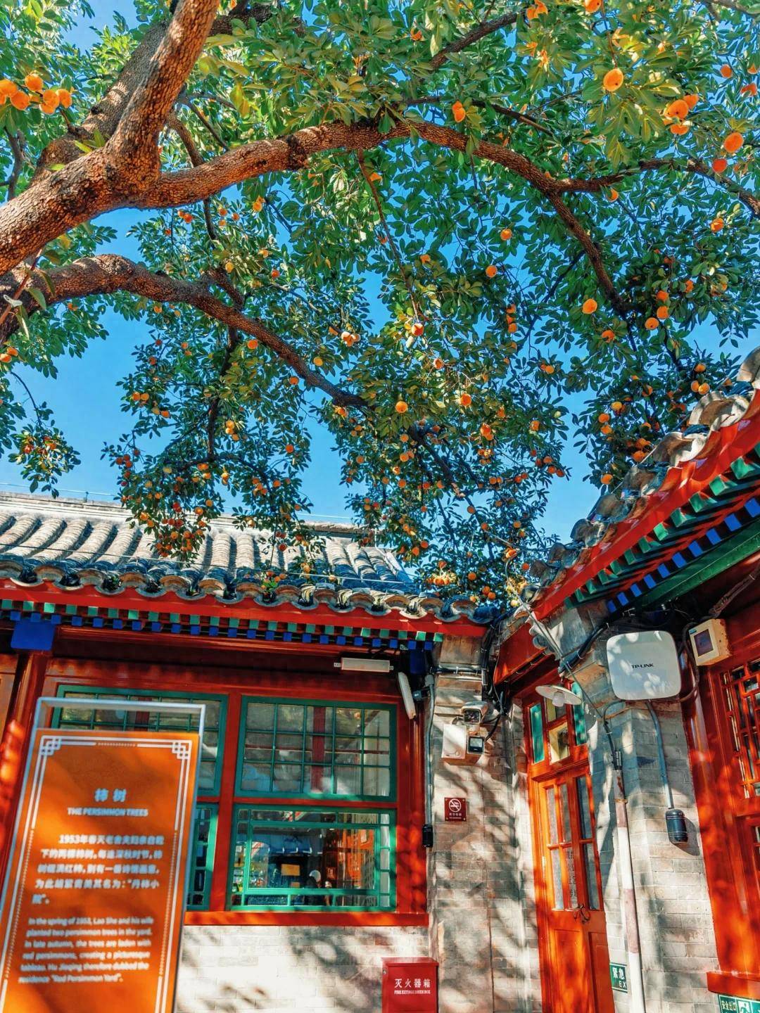 家靠谱的私人订制旅行社带您告别传统跟团新葡京娱乐场app北京定制游崛起！这5(图2)