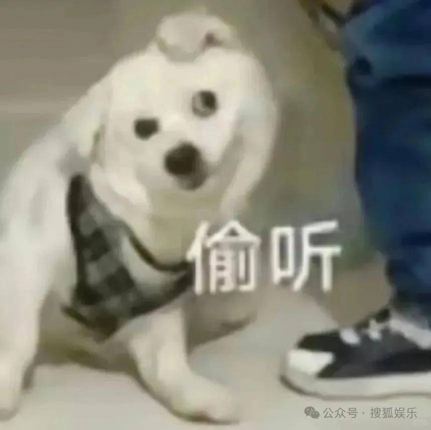 “上岸先斩意中人”的前任成了她事业的催化剂？这俩的分手真相好让人唏嘘！