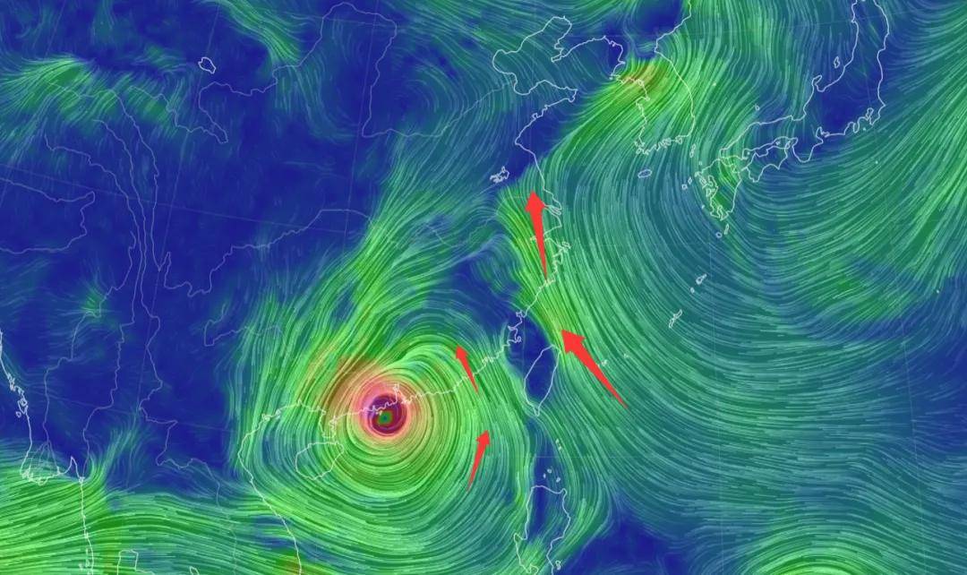 原创             17级以上风王正面来袭：强降雨下4天，20号台风博罗依或生成