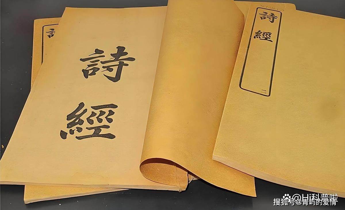 原创             外国网友：为什么英文还在不断造词进步，而中文已经停止演化了？