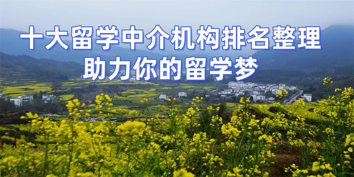 乐鱼体育- 乐鱼体育官网- APP世界杯指定平台郑州美国留学中介公司排名