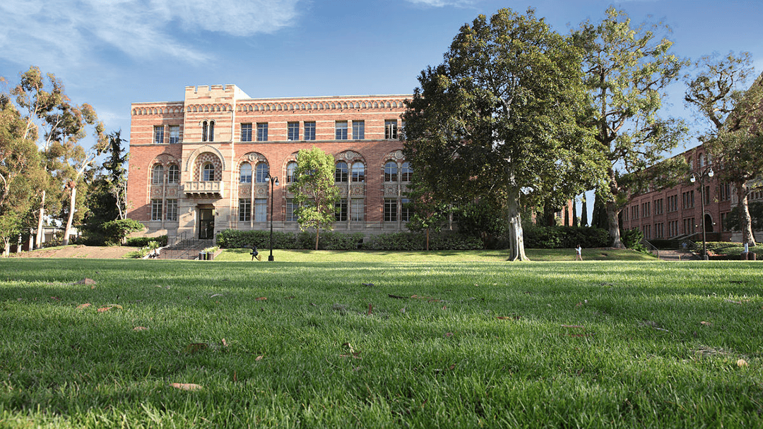 乐鱼体育- 乐鱼体育官网- APP世界杯指定平台偃师市中介留学机构十大_系列；怎么挑更值！