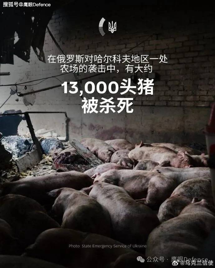 1.3万头猪被炸死，乌克兰威胁给莫斯科断电！击中俄第二大炼油厂