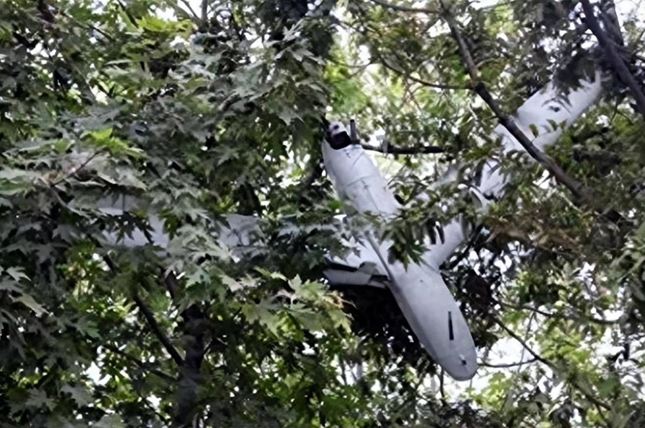 尹锡悦8个半小时，一个字都不交代！他心里很清楚，一旦开口后果比戒严罪更严重