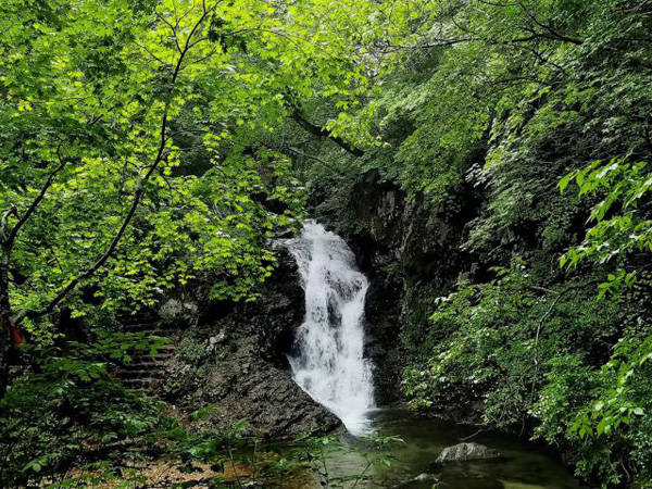 中国·必威双十一软文营销全指南：避开这五大坑让预算效果翻倍