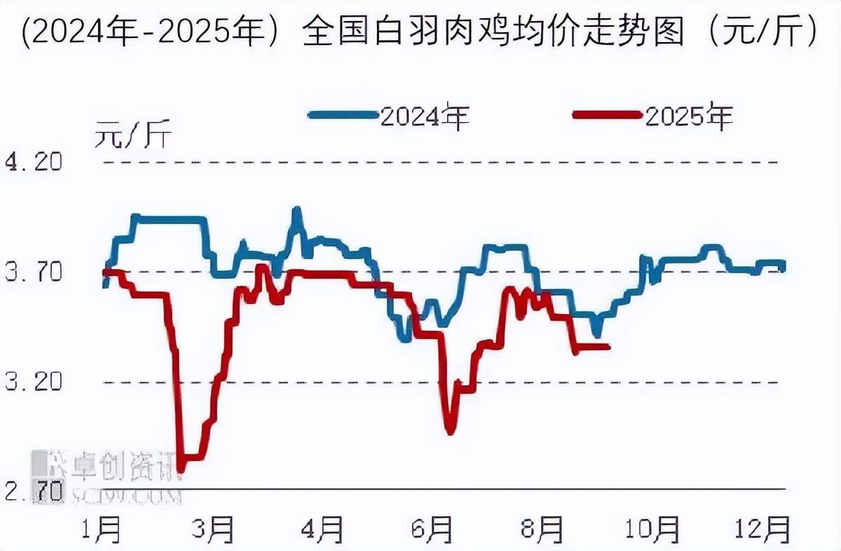 2025年10月食材采购行情：生猪价格反弹动力不足，蔬菜价格季节性上行