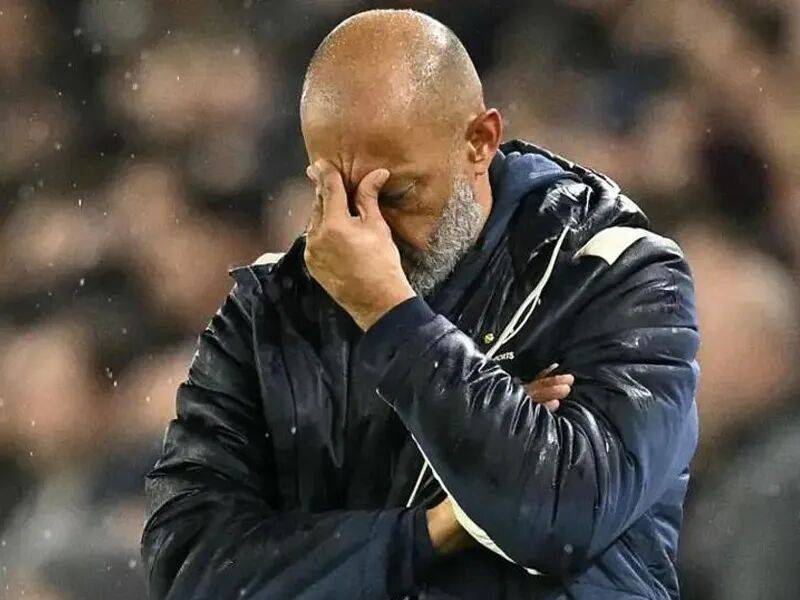 “五大冠军无缘欧冠区曼联进前四英超升班马高