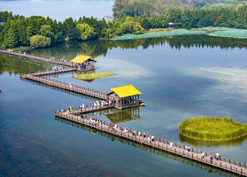 “苏超”决赛双城记——“头马”南通与“黑马”泰州