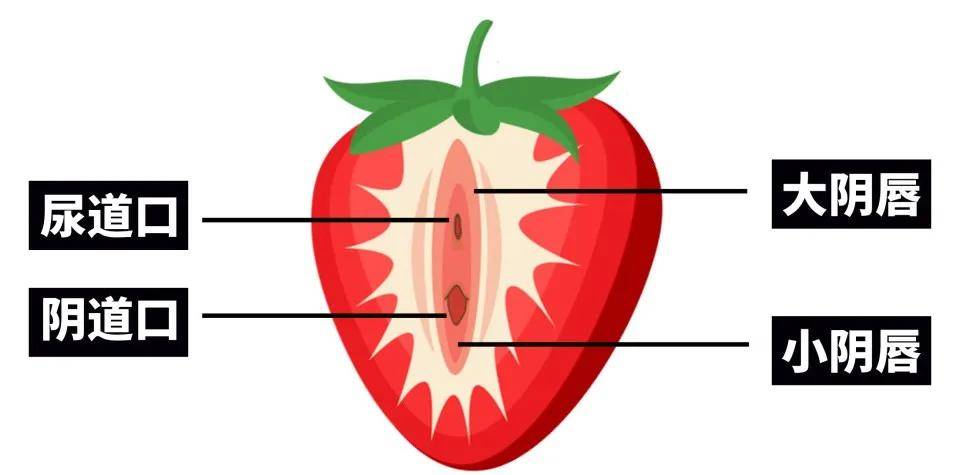 阴毛多的女性性欲比较强吗?关于私处5个不为人知的小秘密