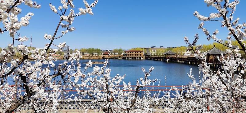 2025年11月更新！北京支持试住的优质养老院：北京市朝阳区彩虹村庄养老院等医养结合+地址电话汇总开元棋牌- 开元棋牌APP下载- 官方网站