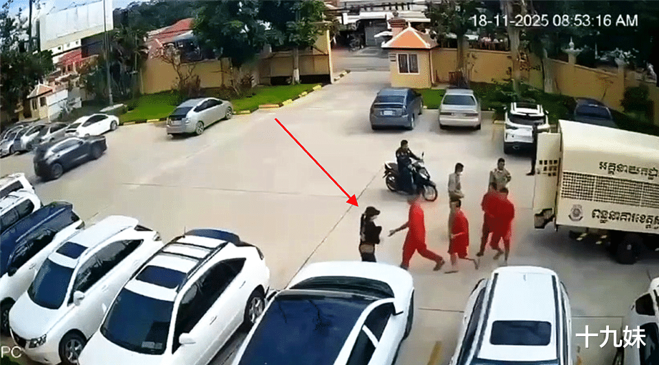 最美大嫂劫囚后续，柬埔寨警方披露调查细节，她根本不是什么孤胆英雄