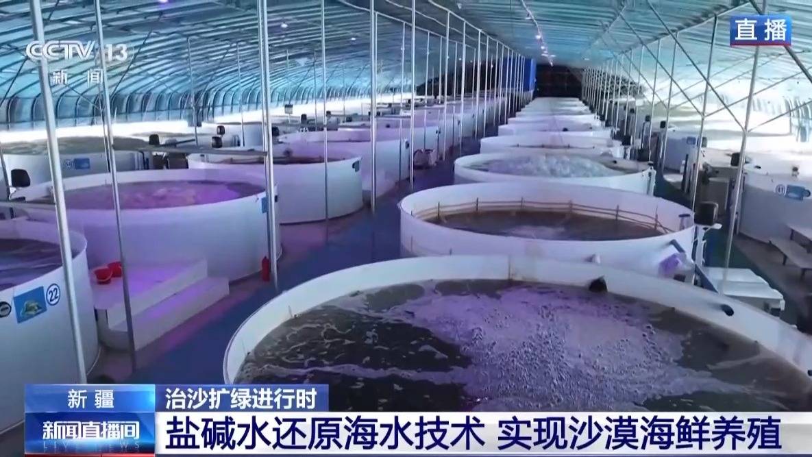 视频丨沙漠里如何养海鲜?解锁塔克拉玛干沙漠的水产养殖密码 视频丨沙漠里如何养海鲜?解锁塔克拉玛干沙漠的水产养殖密码