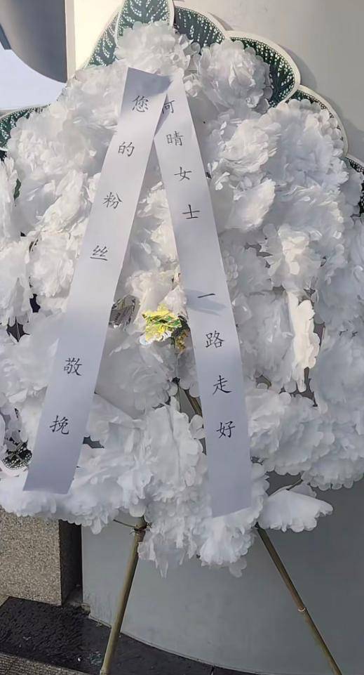 何晴葬礼举行!儿子手捧骨灰,遗像曝光惹泪目,廖京生现身送别