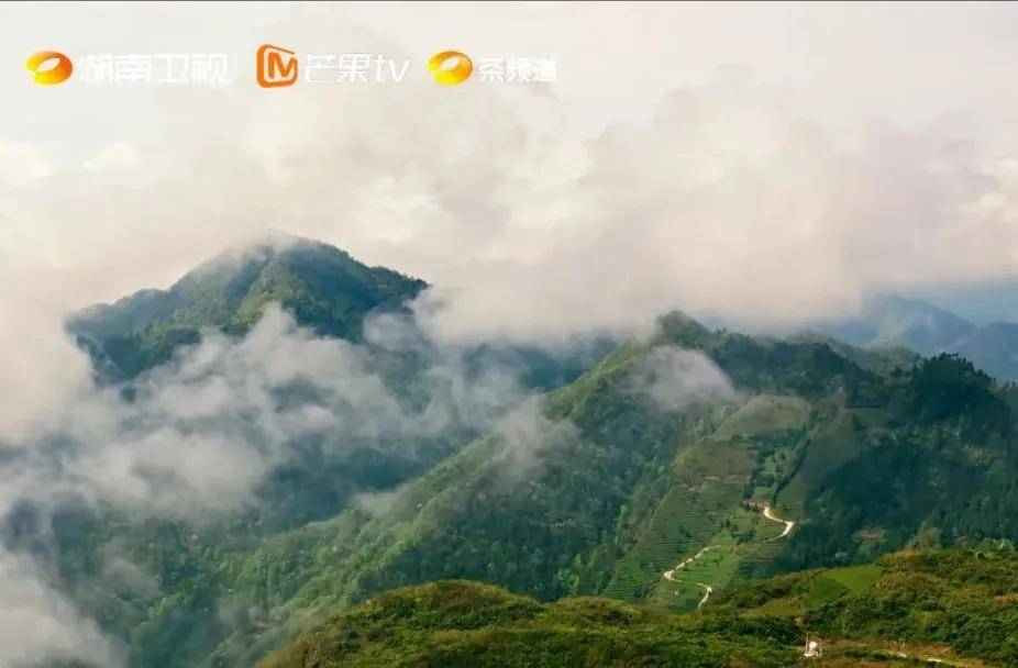 2025年白沙溪十大信息