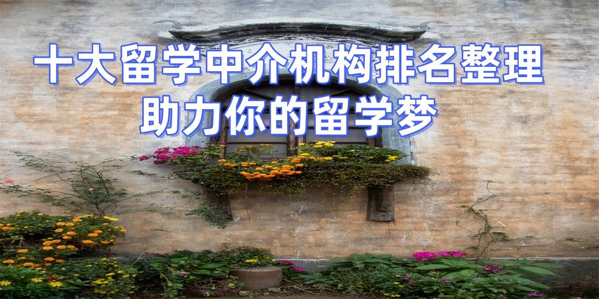 乐鱼体育- 乐鱼体育官网- APP世界杯指定平台北京硕士留学机构专业评估聚焦top10申请策略