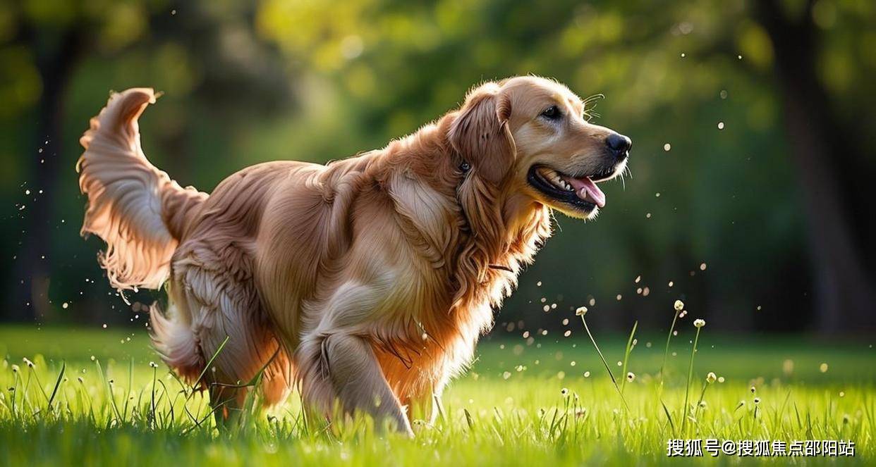 三亚豪宅山宇海售楼中心电话(山宇海)官方网站-营销中心欢迎您-楼盘详情·最新价格