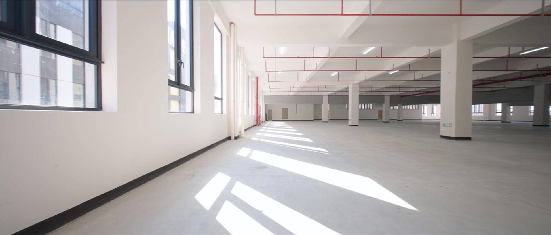 食物厂与电子加工场适配工业园现楼的靠谱之选