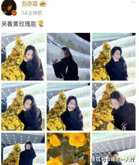 刘亦菲带65岁妈妈回哈尔滨被拍!65岁妈妈冻龄似少女,两人同框像姐妹,网友:这基因我服了