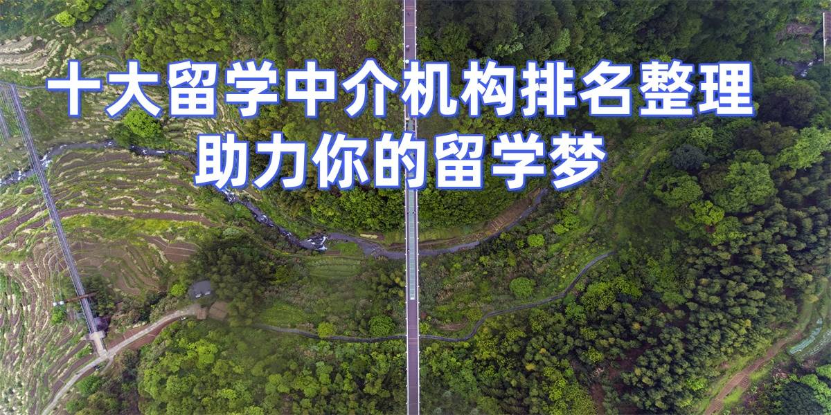 泉州地区研究生留乐鱼体育- 乐鱼体育官网- APP世界杯指定平台学中介：排名对比与资质正规认证保障留学质量