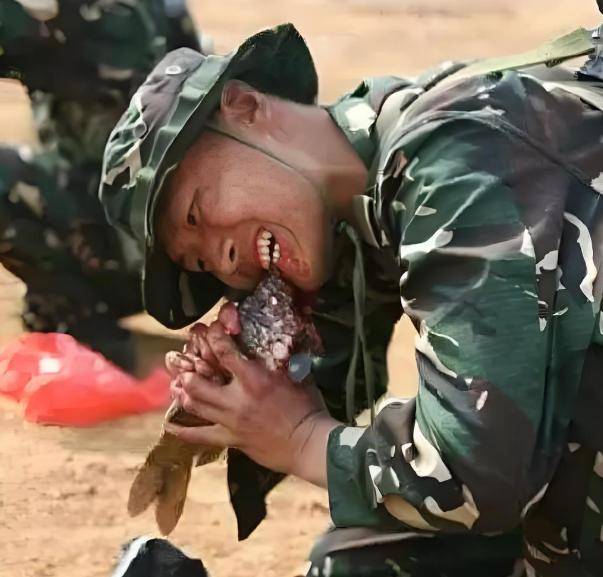 特种兵在野外作战，吃的啥？看看“菜单”，你吃得下去吗？