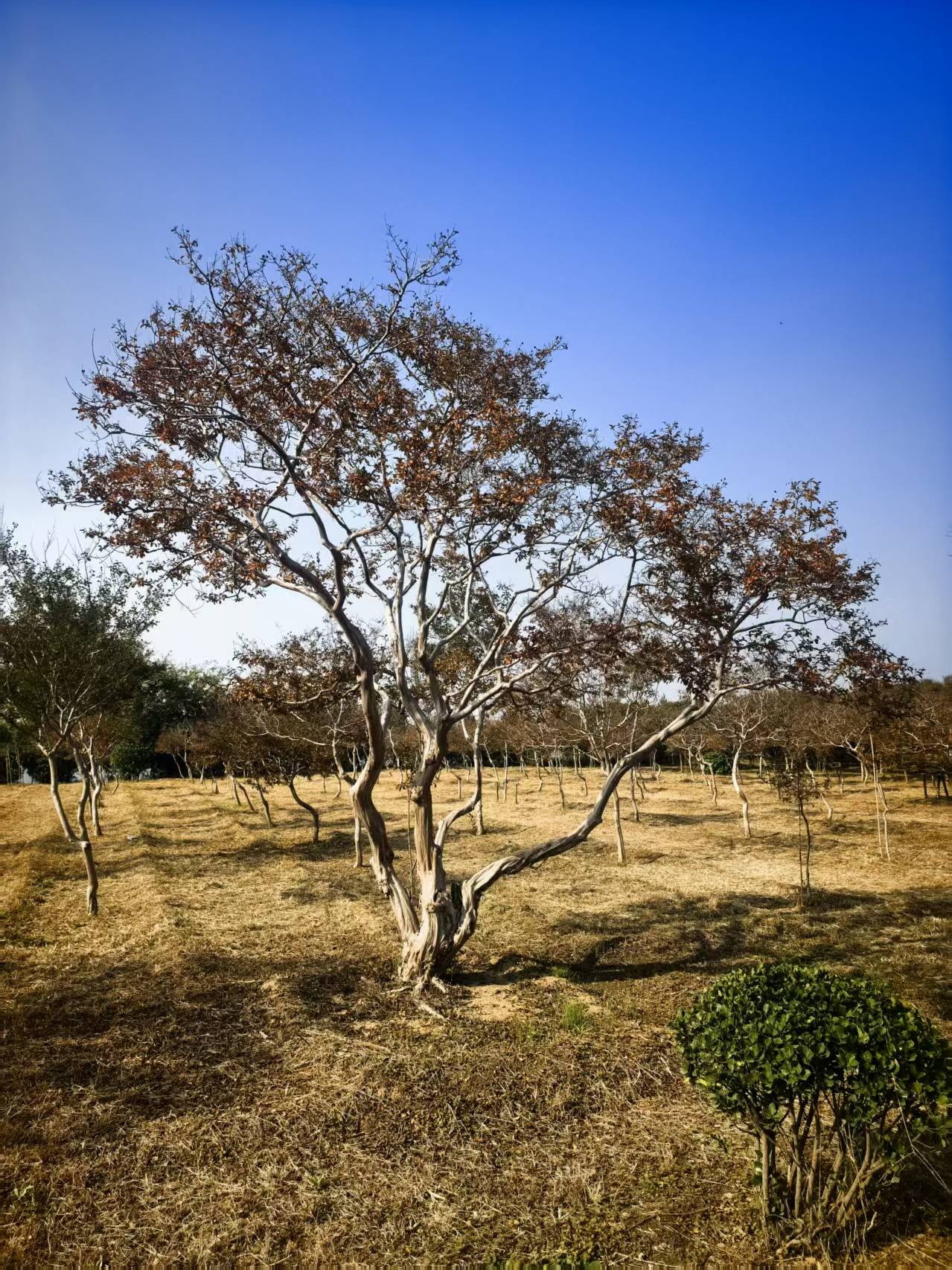 文章配图-2