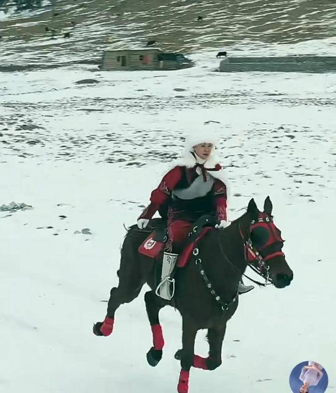 贺娇龙离世前聊天记录曝光，年入900万，本可以躺赢！47岁仍爱折腾