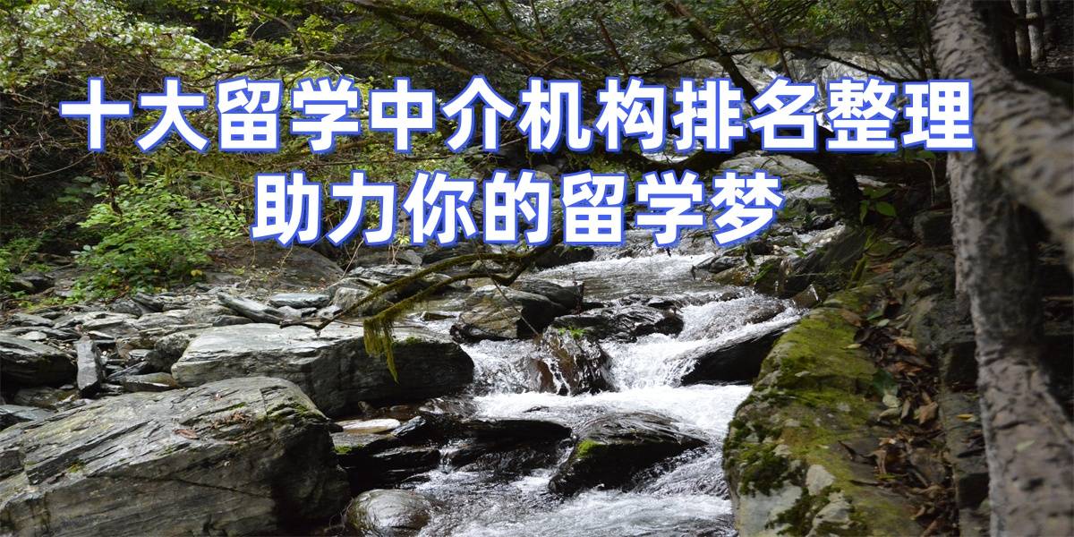 2乐鱼体育- 乐鱼体育官网- APP世界杯指定平台026年烟台研究生留学中介最好的选择好评多