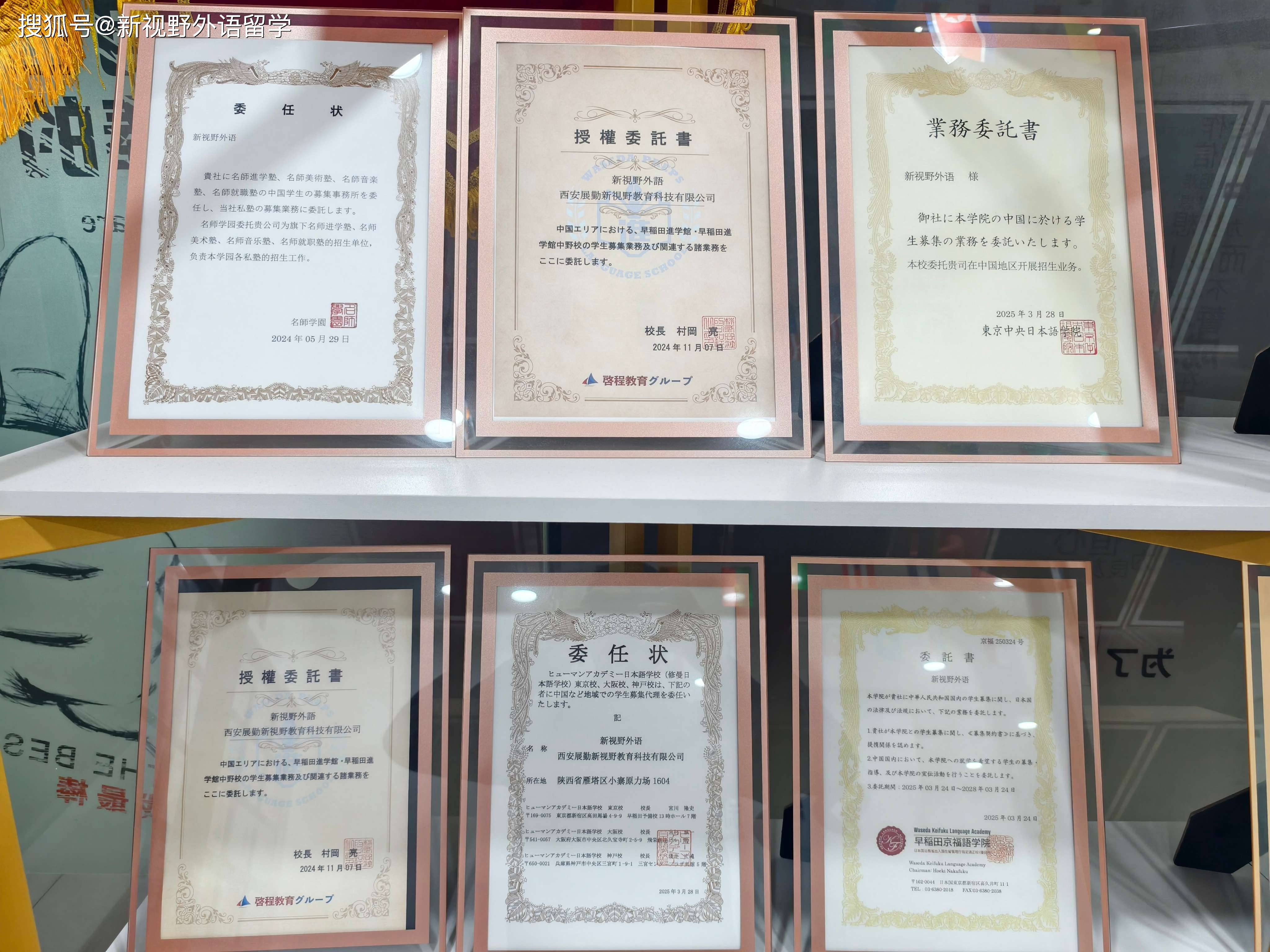 乐鱼体育- 乐鱼体育官网- APP世界杯指定平台西