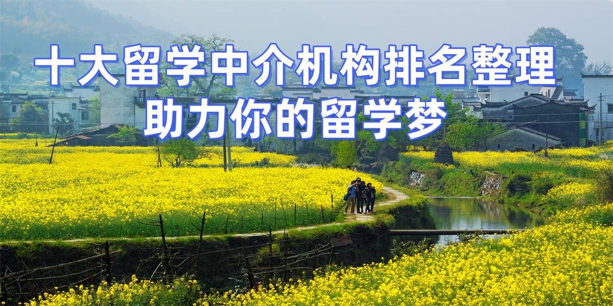 考研后留学双保险：技术赋能申请确保offer抢先咨