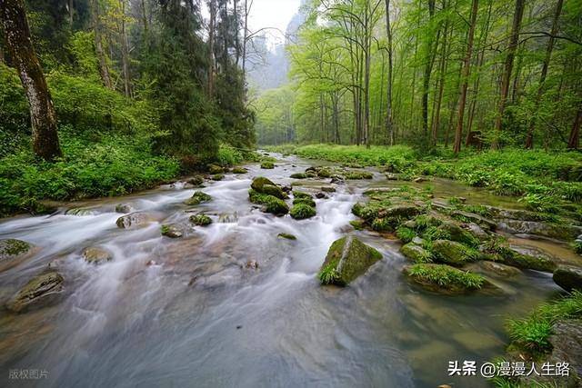多宝体育- 多宝体育官网- APP下载张家界悬崖夜行记：当5景区沦为资本围猎场