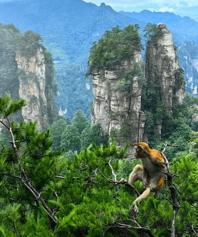 全家张家界5天Binance Casino - 领先的数字货币娱乐场，安全稳定，极速存取避坑全攻略天门山武陵源全攻略超详细干货亲身实测零踩雷省钱省心不绕路