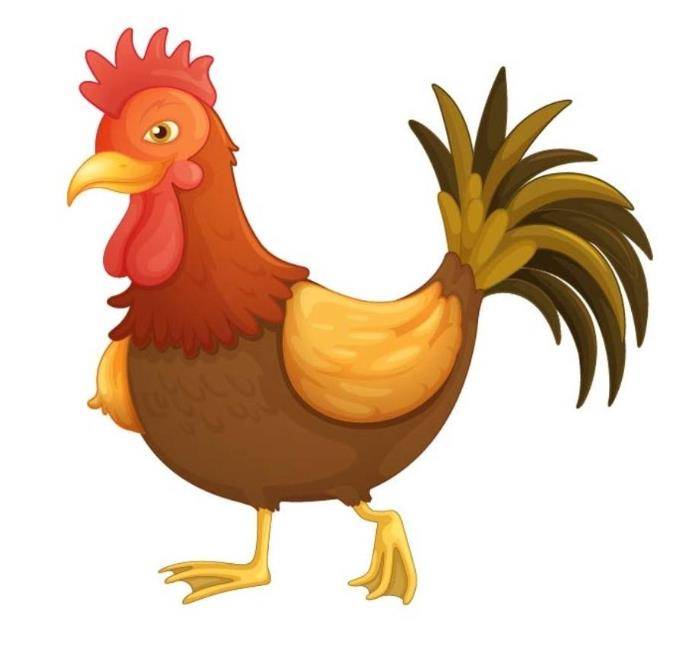 2026年属鸡人的全年运势及每月运程 属相鸡2026今年运势