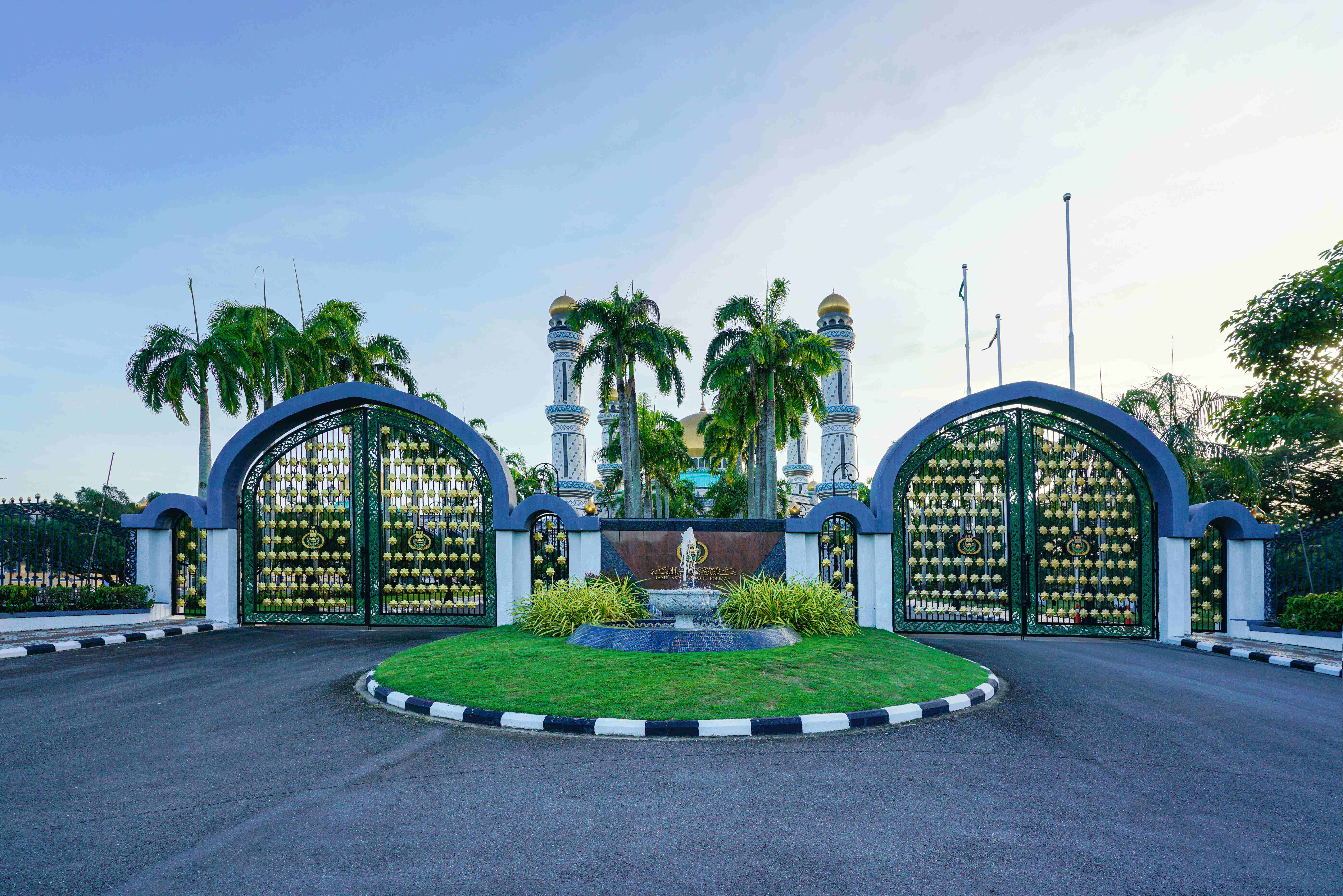 出国留学乐鱼体育- 乐鱼体育官网- APP世界杯指